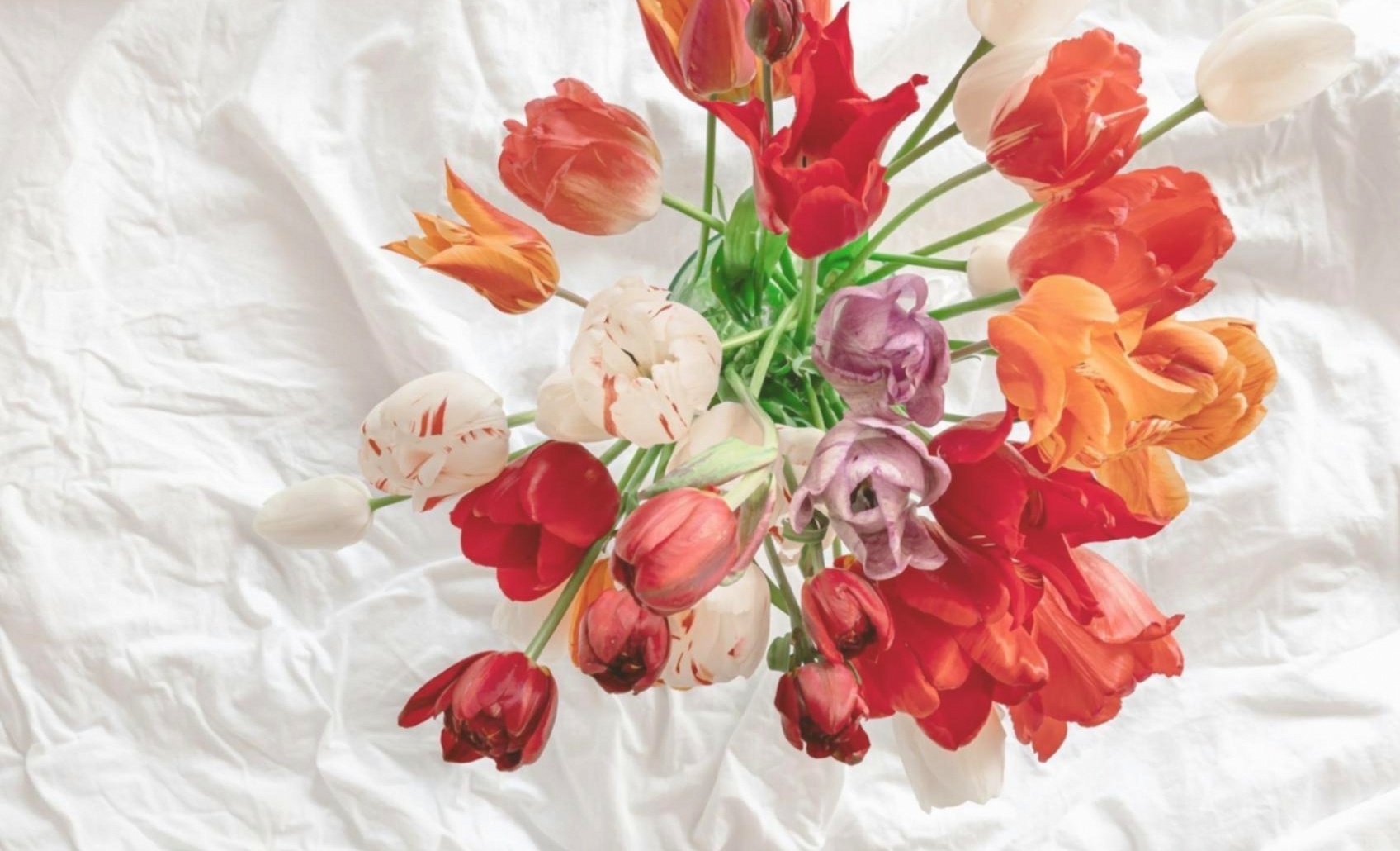 Atelier de bouquets sauvages
